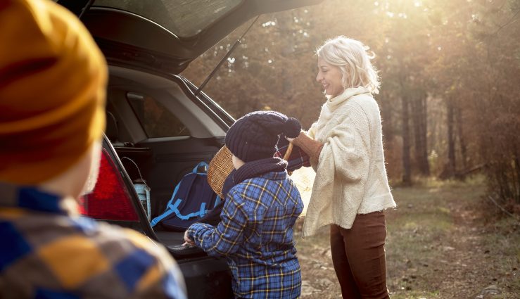 Mother with her boys packing for a day in the nature